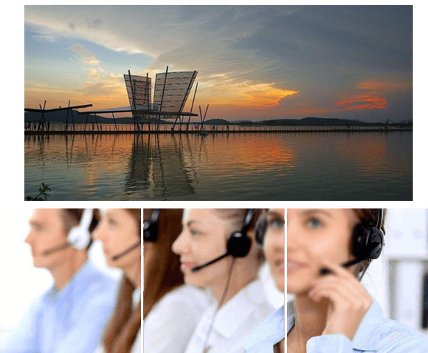 ��˶����